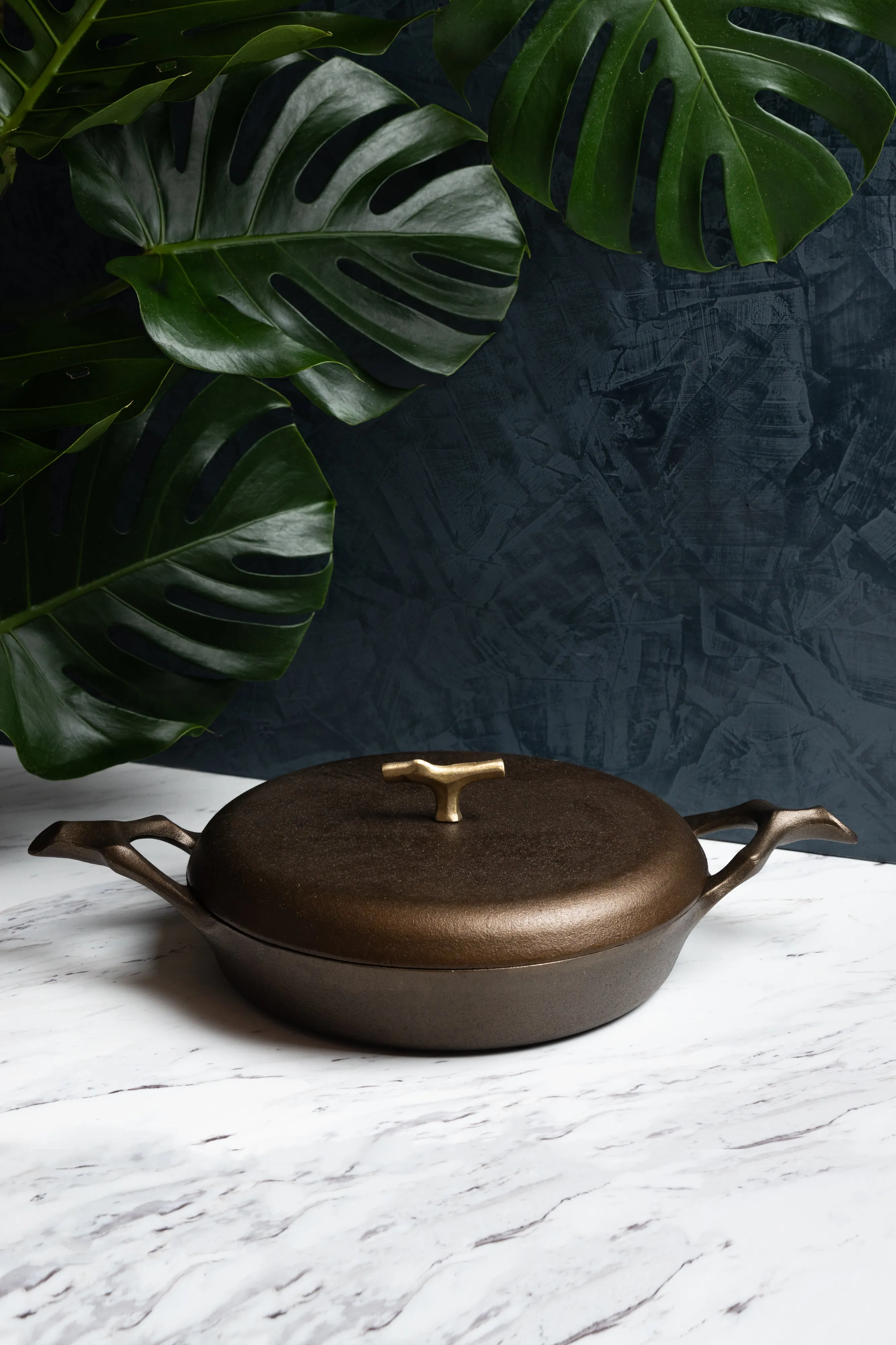 12 in Cast Iron Self-Basting Lid