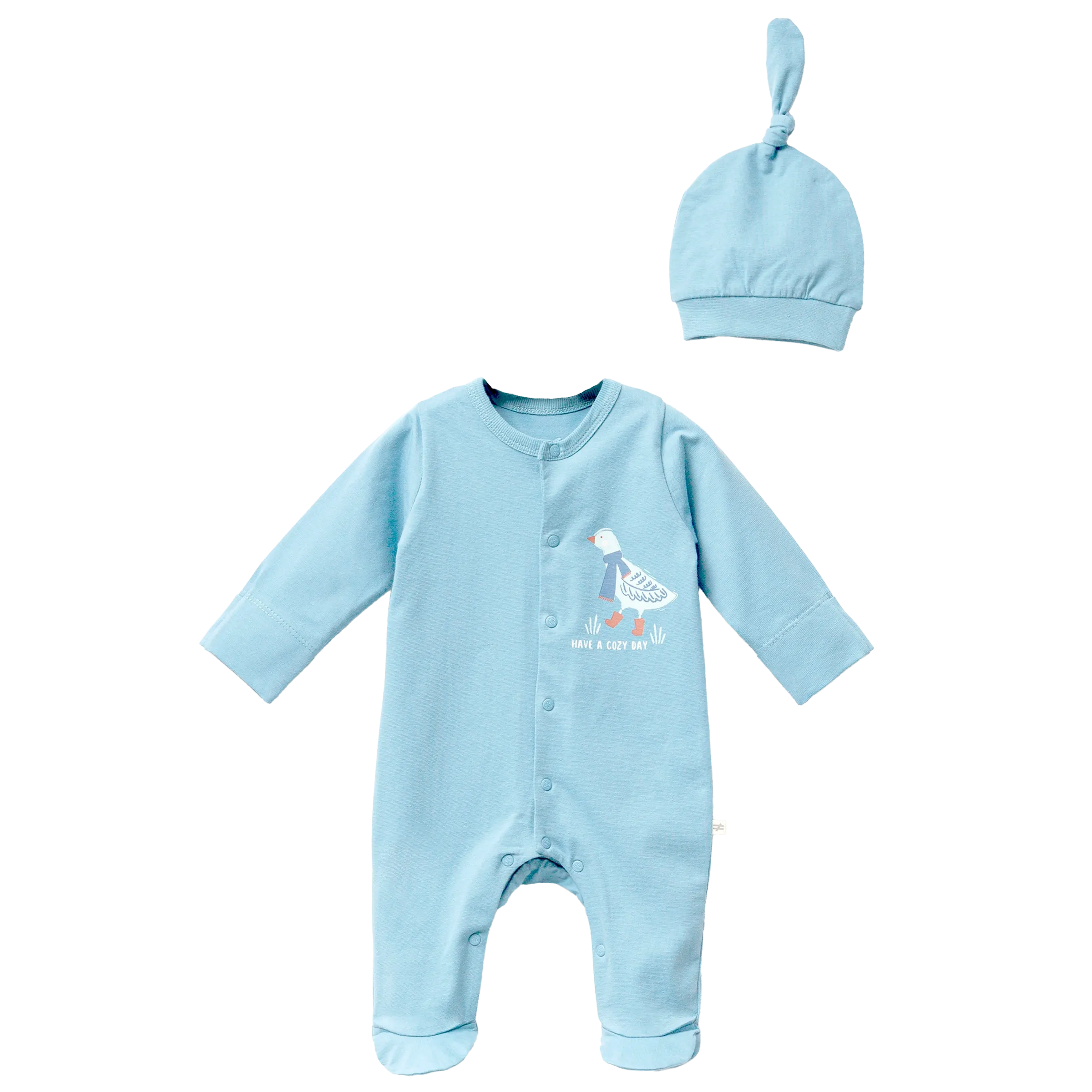 Blue Goose Graphic Babygrow & Hat