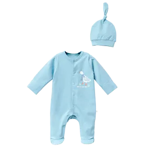 Blue Goose Graphic Babygrow & Hat