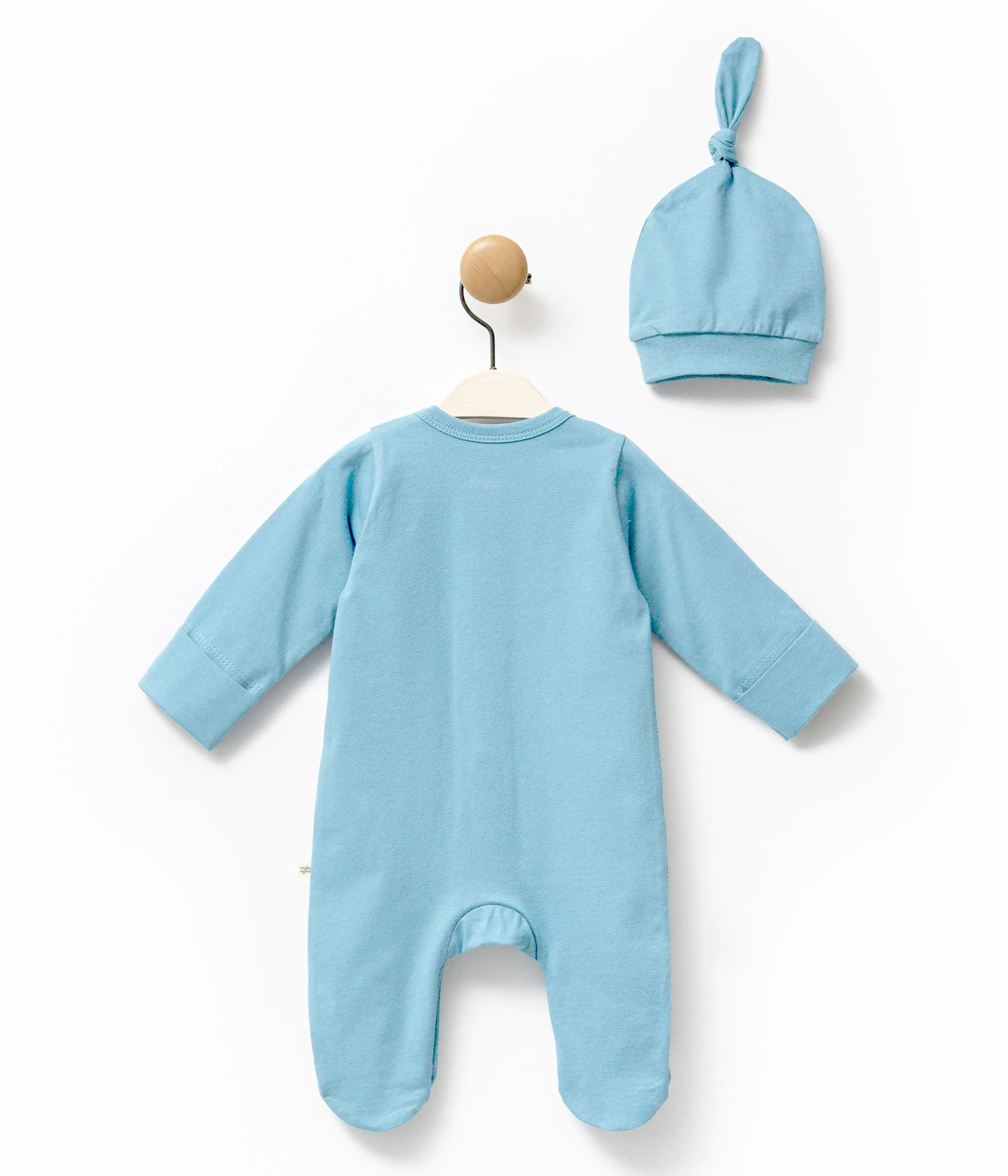 Blue Goose Graphic Babygrow & Hat