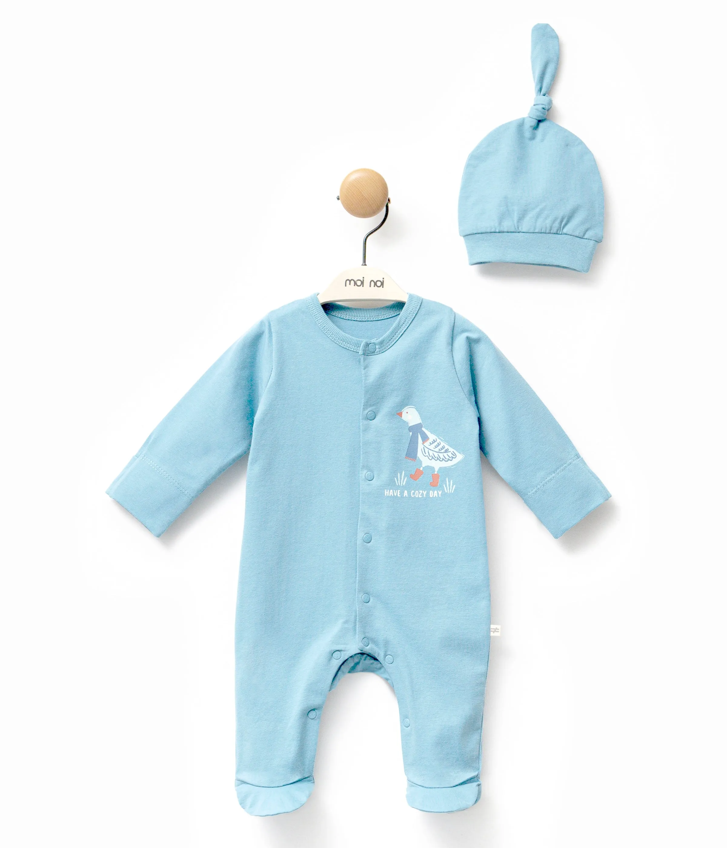 Blue Goose Graphic Babygrow & Hat