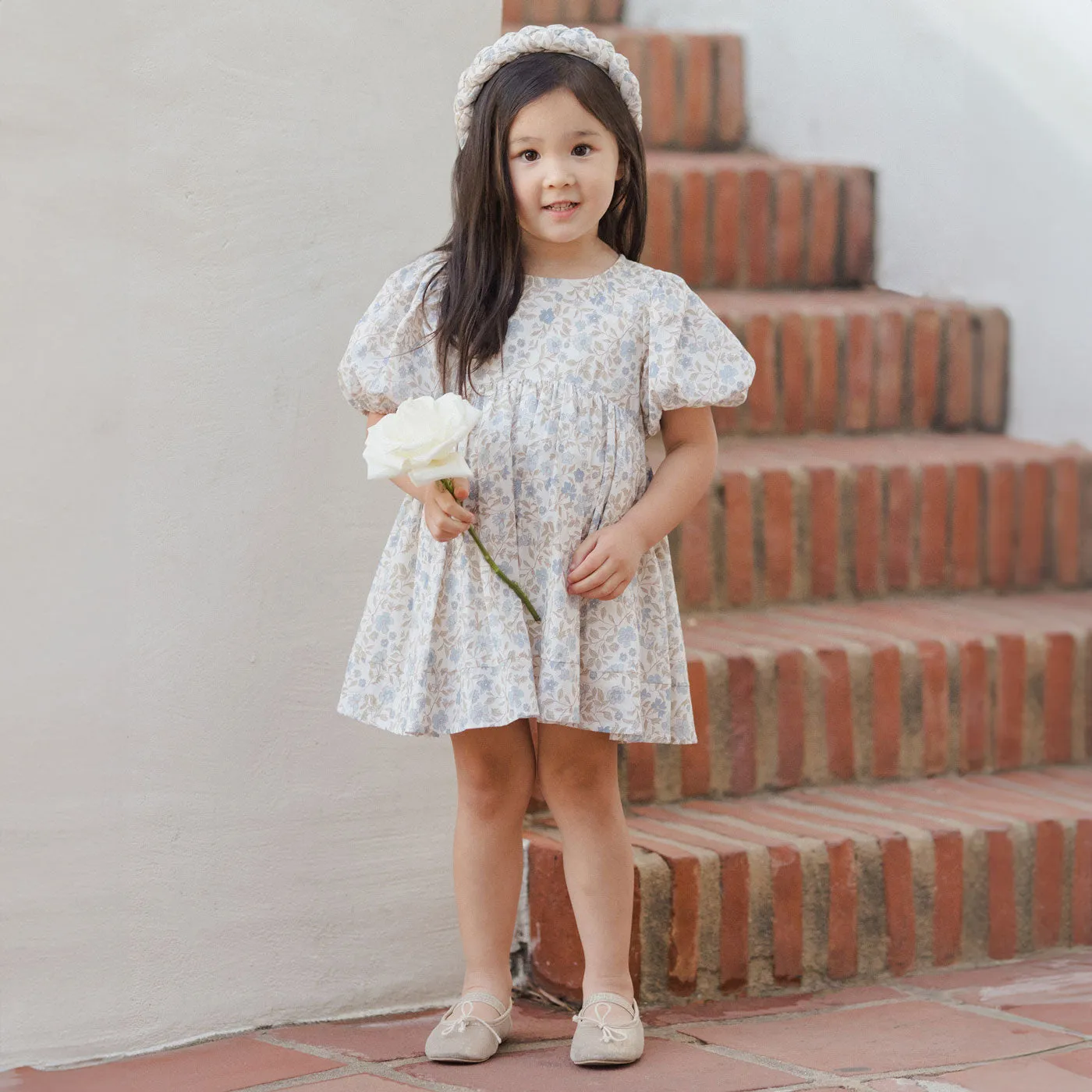 Luna Dress - Blue Garden