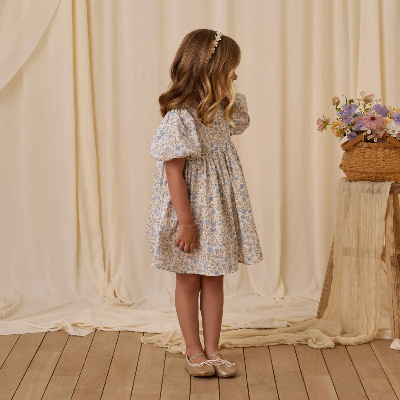 Luna Dress - Blue Garden