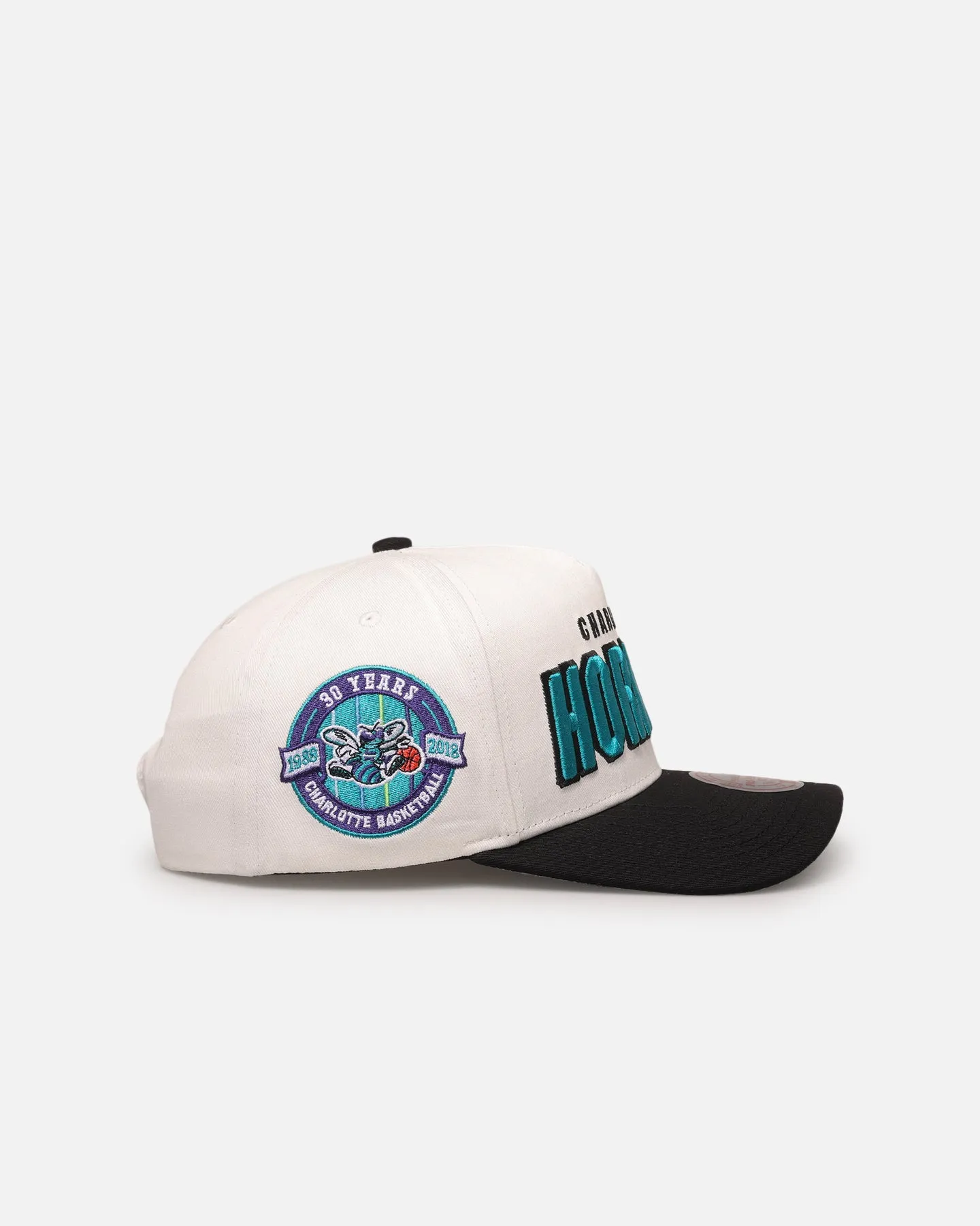 Mitchell & Ness Charlotte Hornets 'Draft Day' Pro Pinch Snapback White/Black